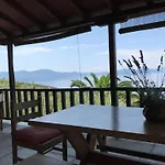Vilă Olive Grove House
