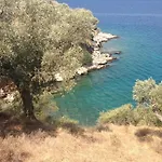 Olive Grove House Argalastí