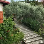 Olive Grove House