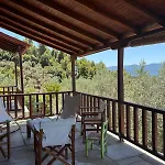 Olive Grove House *