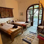 Olive Grove House *