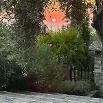 Olive Grove House Vilă