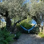 Olive Grove House Argalastí