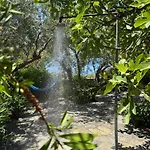 Olive Grove House Vilă