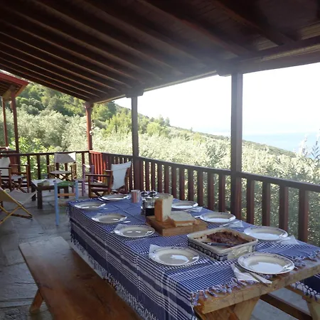 Olive Grove House Villa Argalasti