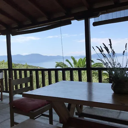 别墅 Olive Grove House