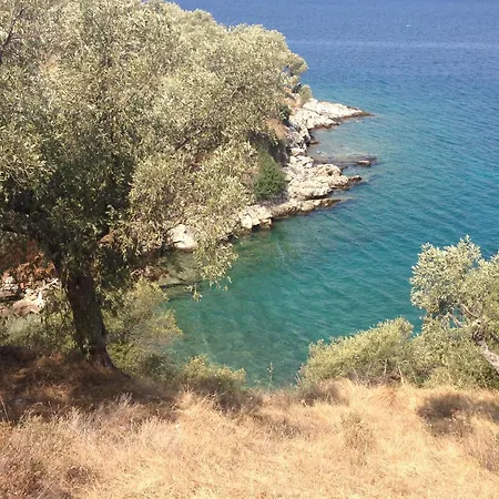 Olive Grove House 阿尔加拉斯蒂