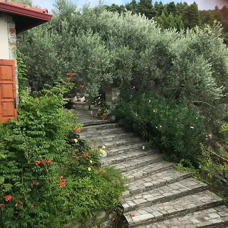 Olive Grove House
