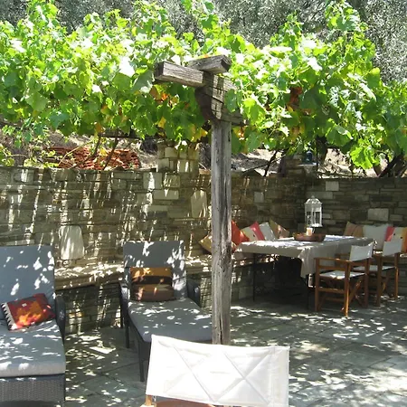 Olive Grove House וילה ארגלסטי