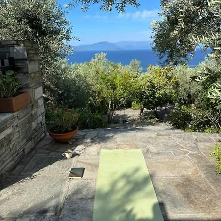 Olive Grove House Villa Argalasti