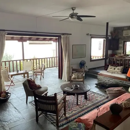 Villa Olive Grove House Argalasti