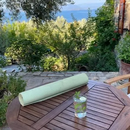 Olive Grove House *