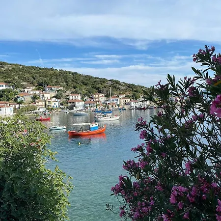 别墅 Olive Grove House *