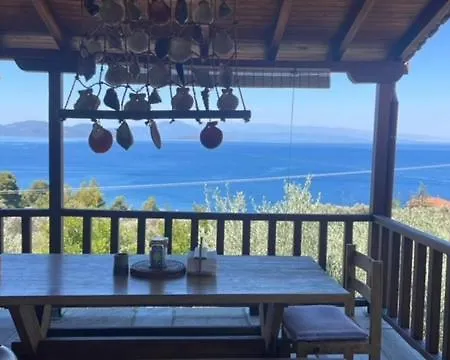 Villa Olive Grove House *