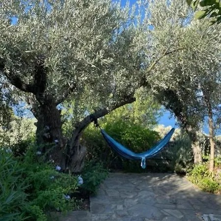 Villa Olive Grove House Argalasti