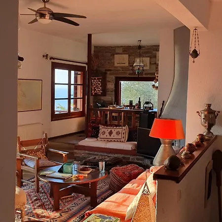 别墅 Olive Grove House *