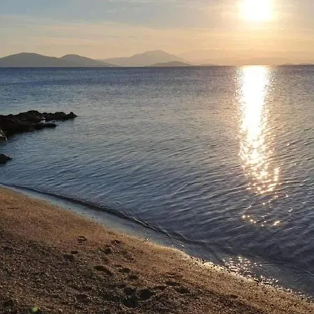 Olive Grove House * 阿尔加拉斯蒂