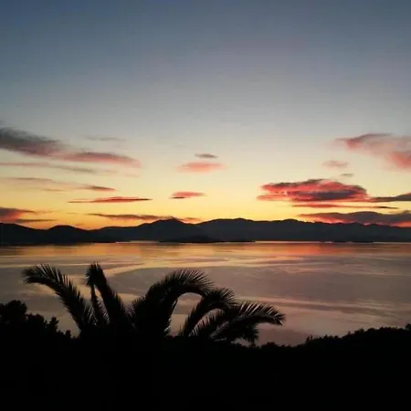 别墅 Olive Grove House