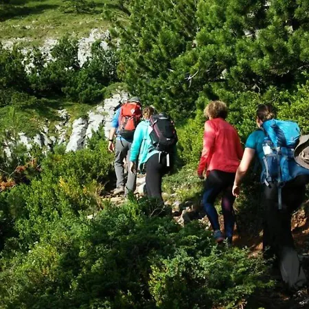 Olive Grove House Villa *