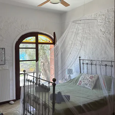 Olive Grove House ヴィラ アルガラスティ