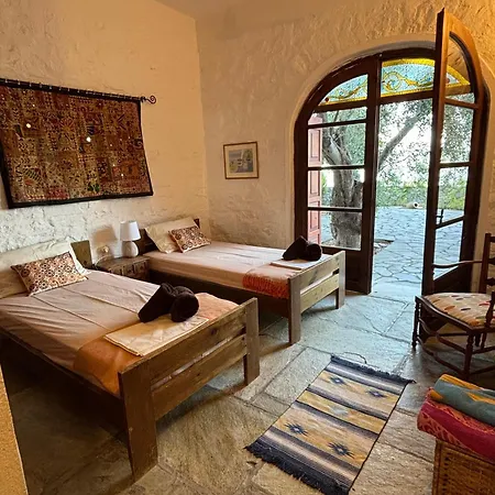 Olive Grove House *