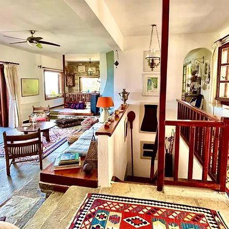 Olive Grove House