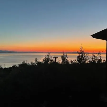 Villa Olive Grove House