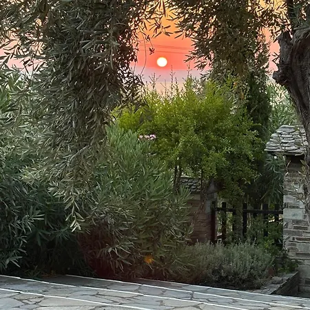 Olive Grove House Villa