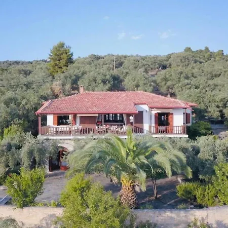 Olive Grove House 别墅 *