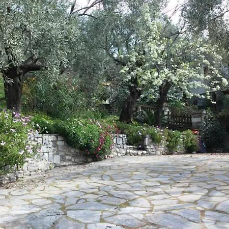 Olive Grove House *