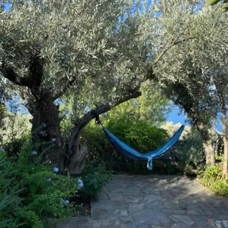 Olive Grove House 阿尔加拉斯蒂