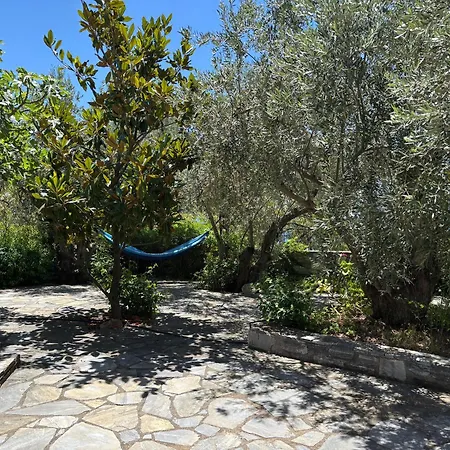 Villa Olive Grove House *