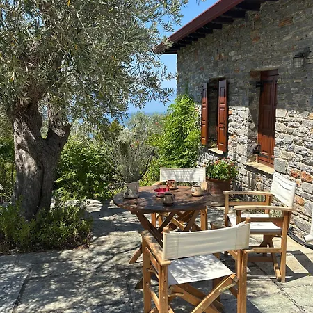 Olive Grove House
