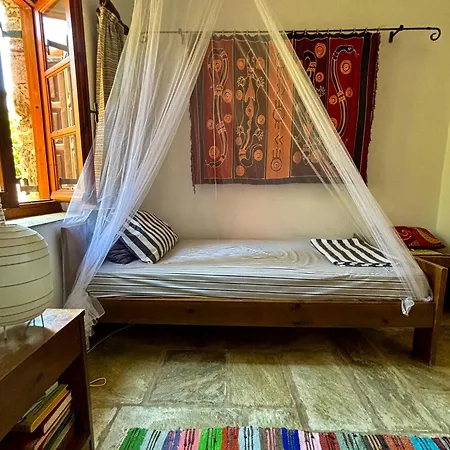 别墅 Olive Grove House