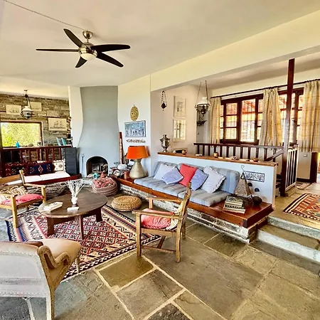 Olive Grove House Villa Argalasti