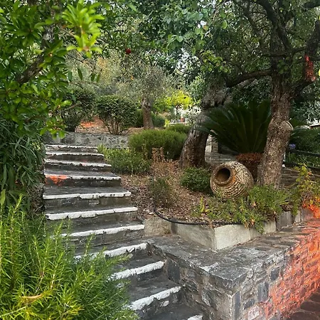 别墅 Olive Grove House 阿尔加拉斯蒂