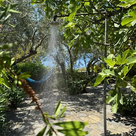Olive Grove House ヴィラ