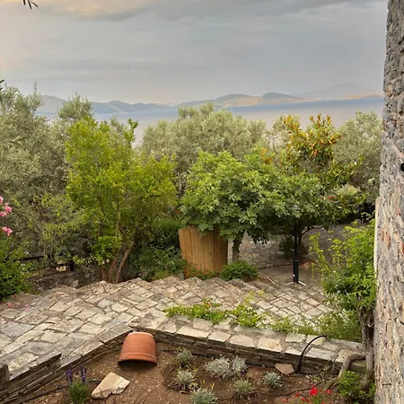 Olive Grove House ヴィラ アルガラスティ