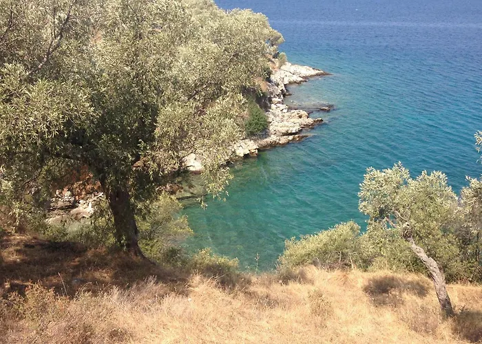 Olive Grove House Αργαλαστή